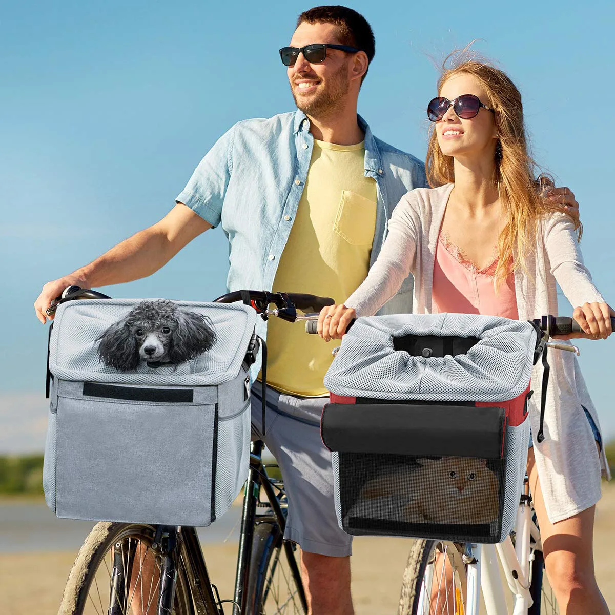 Licensed Character Pet Carriers: How the Approval Ch - detail view supplied by QUANZHOU JUNYUAN BAGS