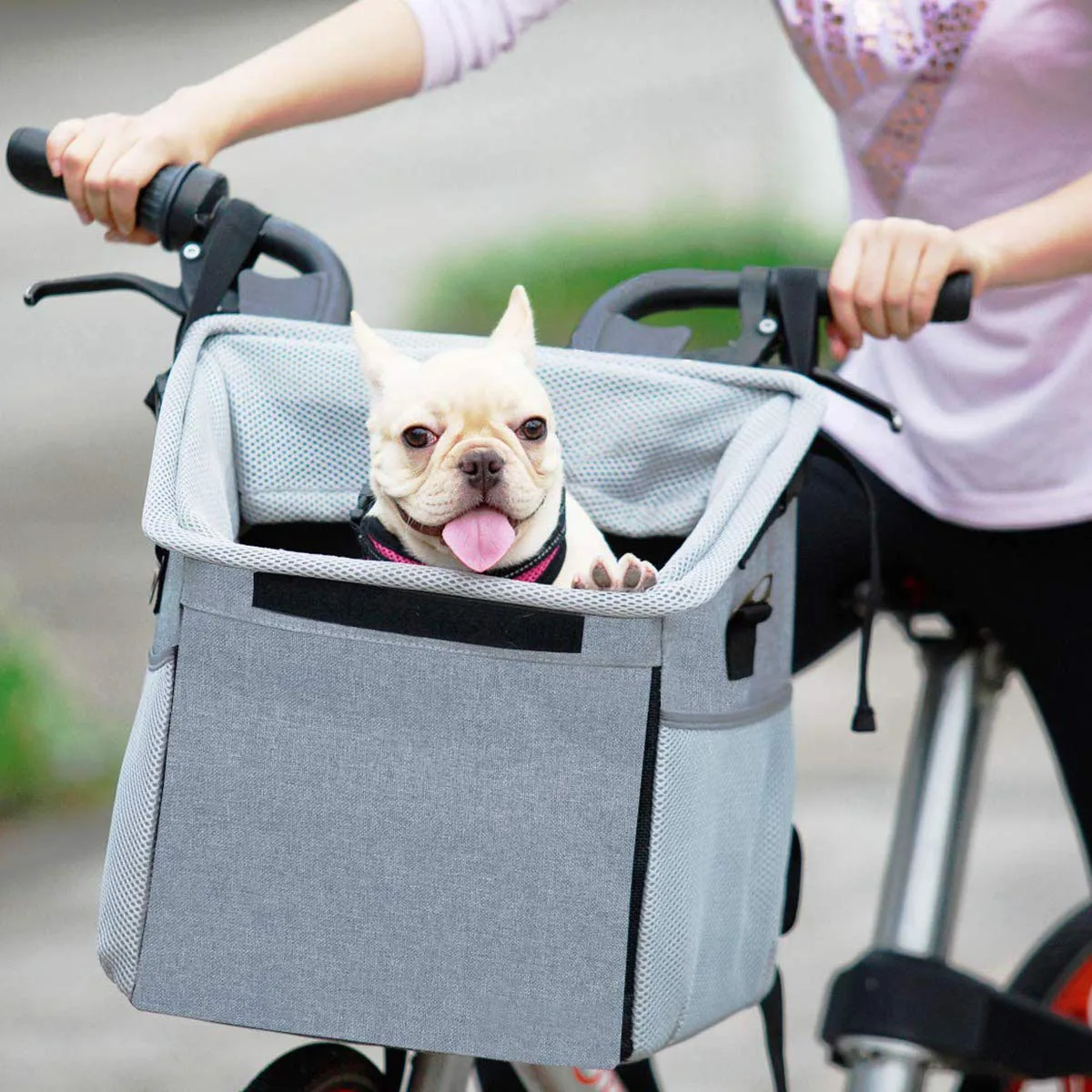 Split Grain Leather Pet Carriers: Budget Tier, Premi - detail view supplied by QUANZHOU JUNYUAN BAGS