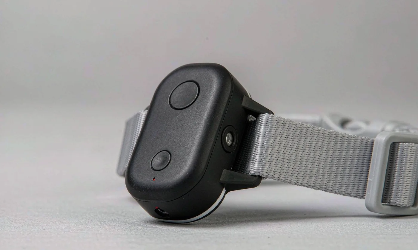 LED Straps That Light Up: Light Integration in Pet C - detail view supplied by QUANZHOU JUNYUAN BAGS