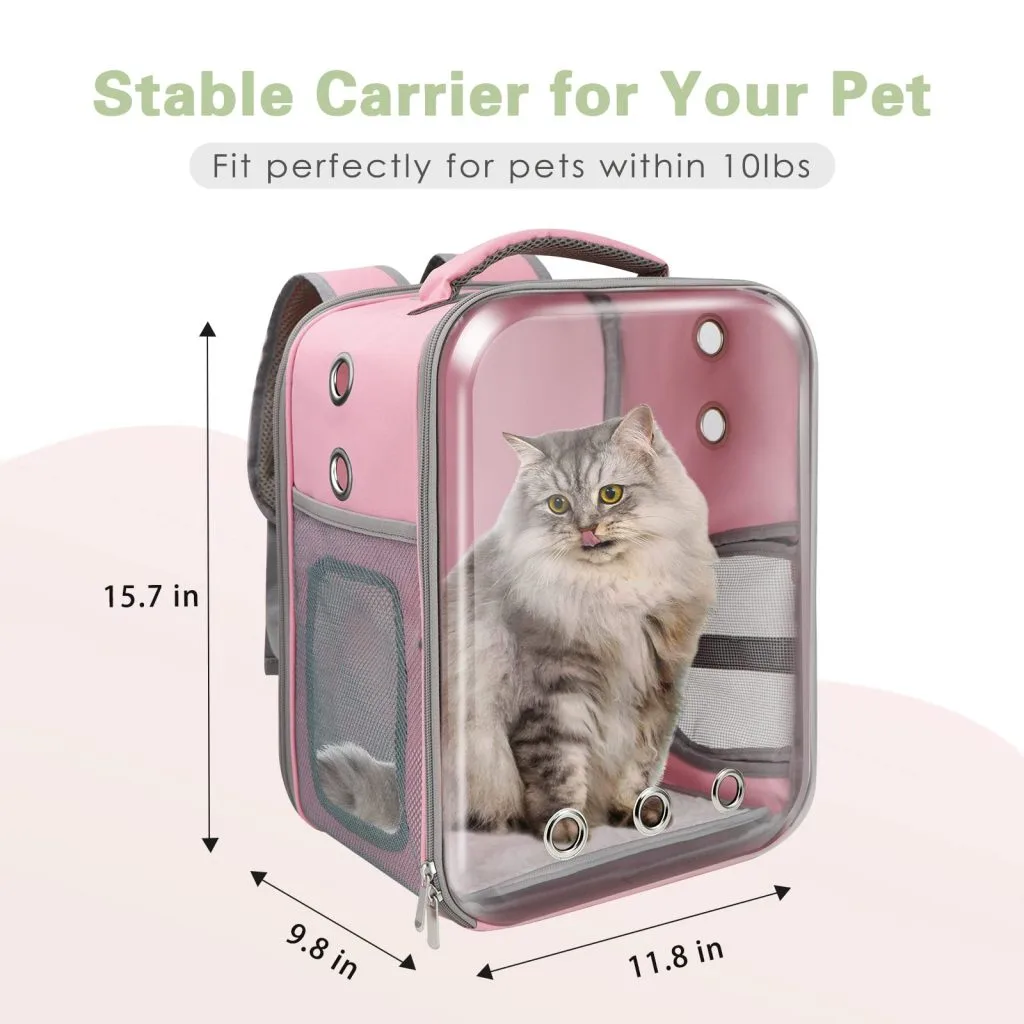 Removable Backpack Straps: Convertible Carry for Pri - detail view supplied by QUANZHOU JUNYUAN BAGS