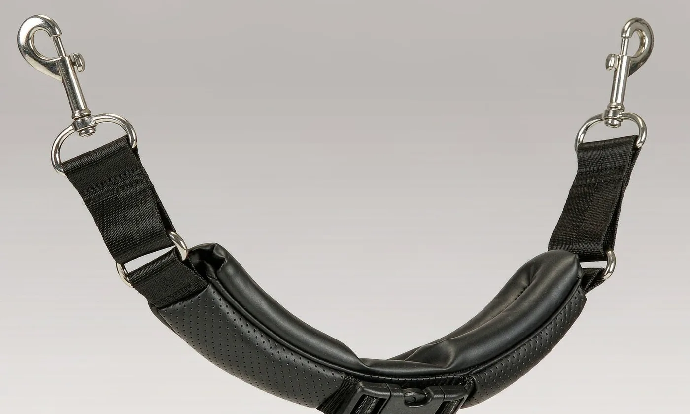 Telescoping Pet Carrier: Adjustable Length Design Gu - detail view supplied by QUANZHOU JUNYUAN BAGS